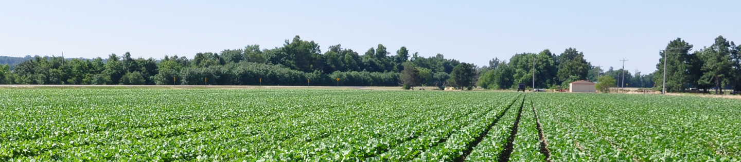Agricultural Products